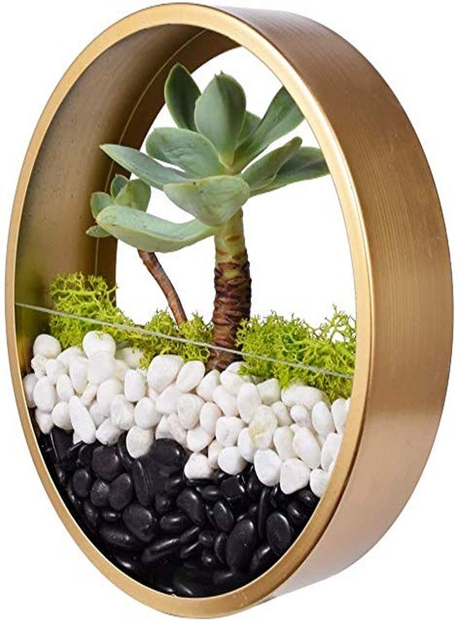 Schmick Black Pebbles for Decoration - Pebbles for Plants Pots - Pebbles for Garden, Fish Tank Aquarium, Table, Vase Fillers (2.9 Kg, Black Stones) - Image 2